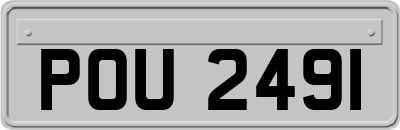 POU2491