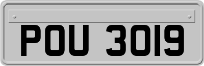 POU3019