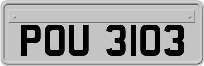 POU3103
