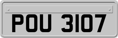 POU3107