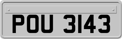 POU3143