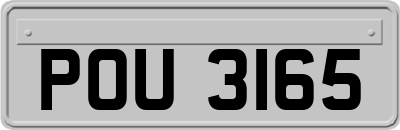 POU3165