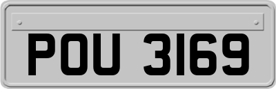 POU3169