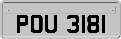 POU3181