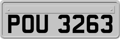 POU3263