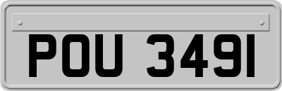 POU3491