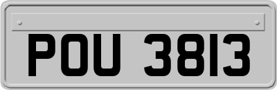 POU3813