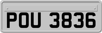 POU3836