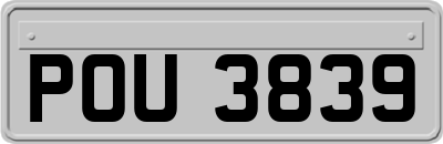 POU3839