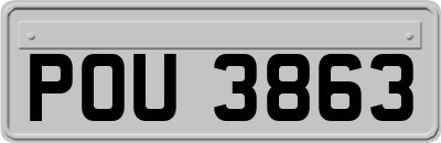 POU3863