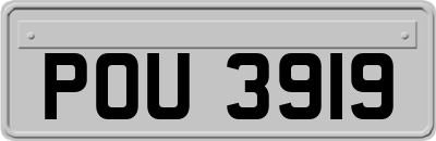 POU3919