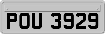 POU3929