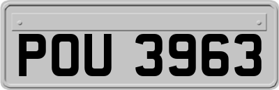 POU3963