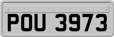 POU3973