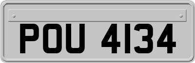 POU4134