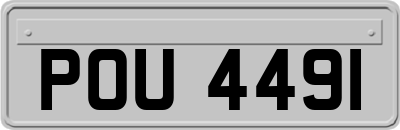 POU4491