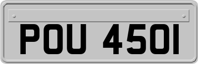 POU4501