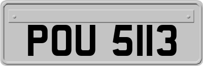 POU5113