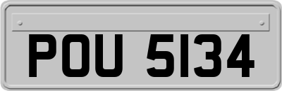 POU5134