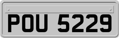 POU5229