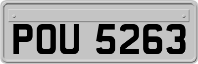 POU5263