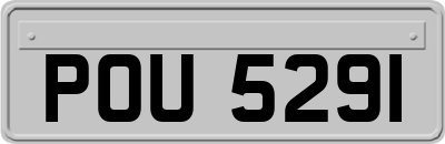 POU5291