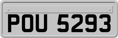 POU5293