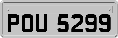 POU5299