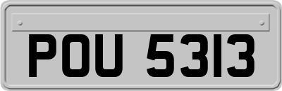 POU5313