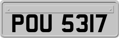 POU5317