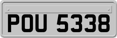 POU5338