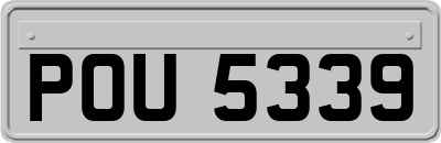 POU5339