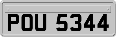 POU5344
