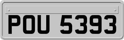 POU5393