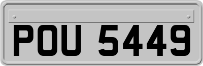 POU5449