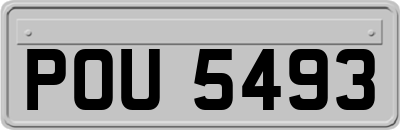 POU5493