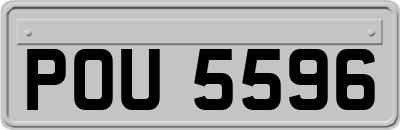 POU5596