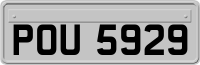 POU5929