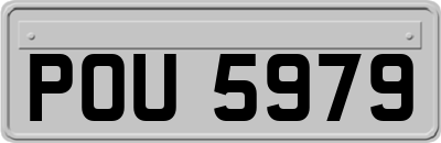 POU5979