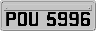 POU5996