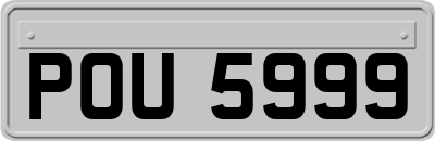 POU5999