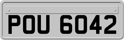 POU6042