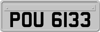 POU6133