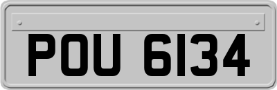 POU6134