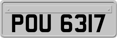 POU6317