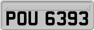 POU6393