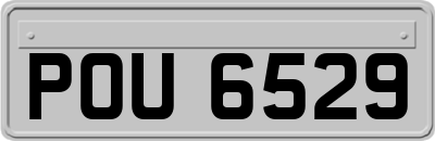POU6529