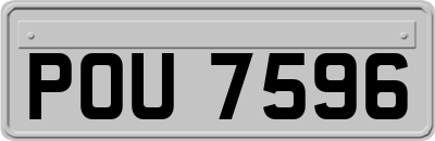 POU7596