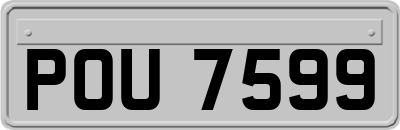 POU7599