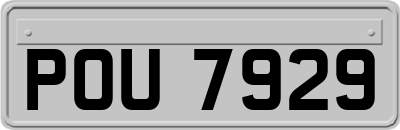 POU7929